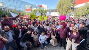 imelda castro se registra primero en el proceso interno de morena foto