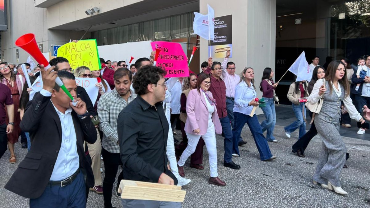 imelda castro se registra primero en el proceso interno de morena sinaloa