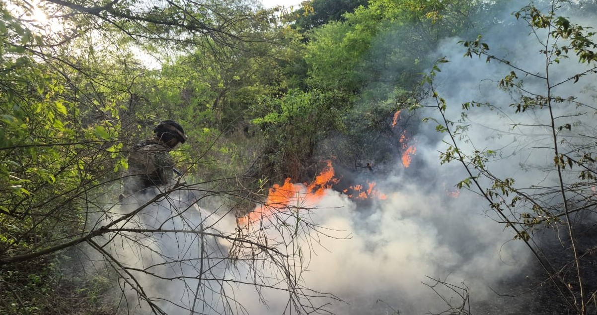 Incendio controlado al sur de Sinaloa