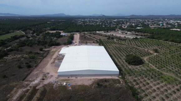 Ante crisis de empleo en empaques de mango en Escuinapa, Sinaloa planta ATR-Sumitomo vendría a dar mil puestos: Codesin