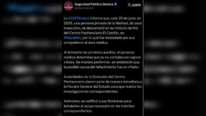 informe de seguridad publica
