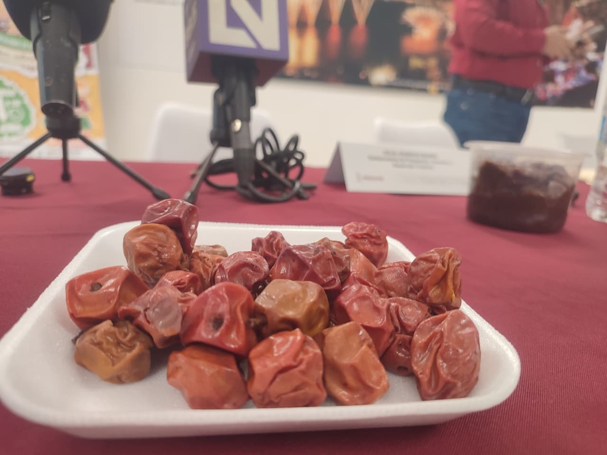 Invitan a la Feria de la Ciruela en Aguacaliente de Gárate, en Concordia