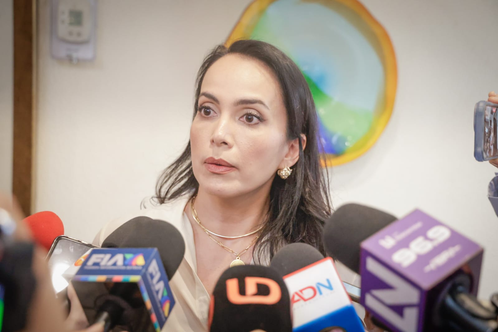 Coordinadora de la bancada del PRI, Irma Moreno Ovalles