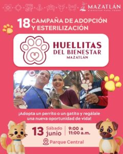 Jornada de adopción y esterilización en Mazatlán