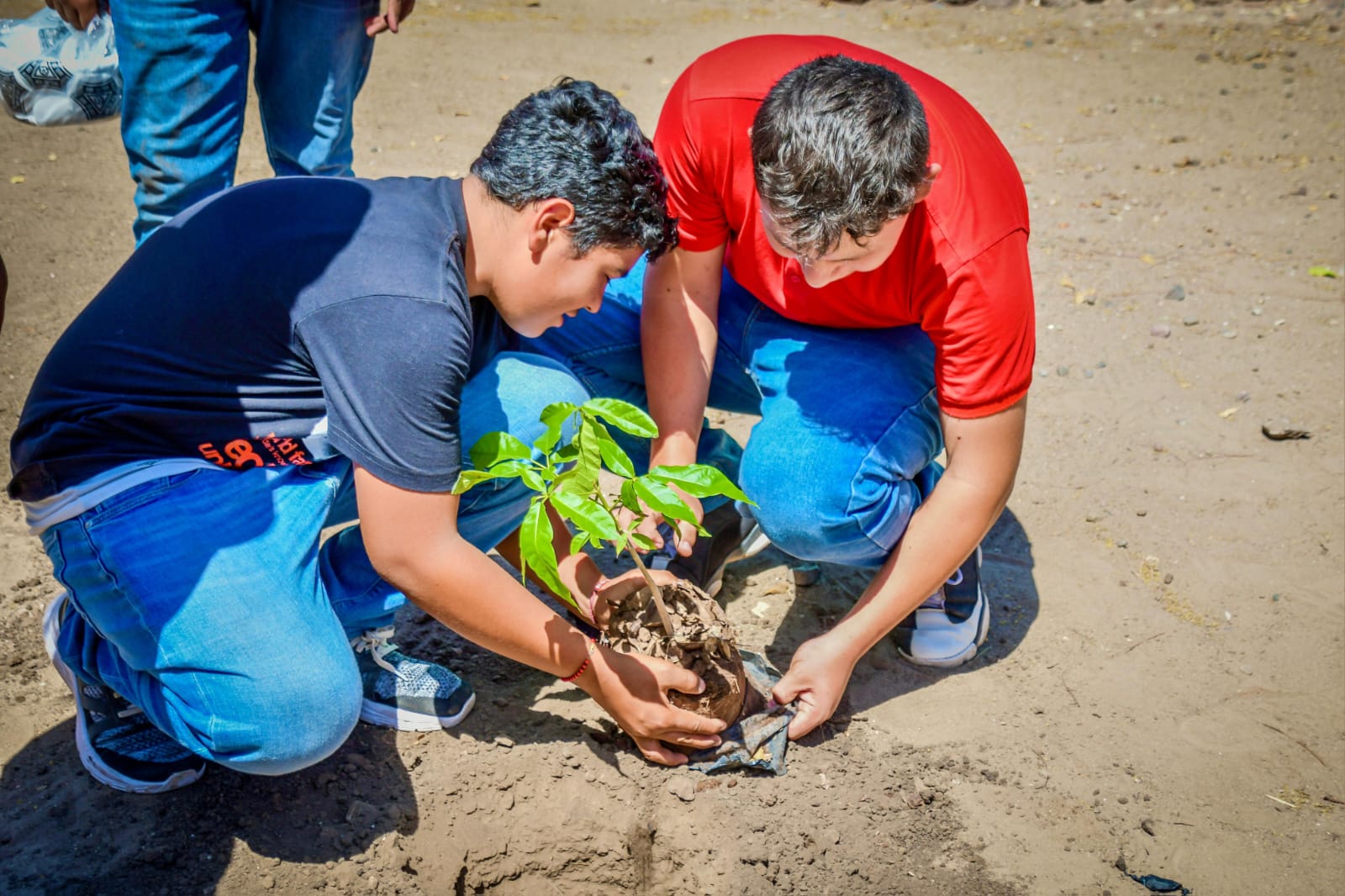 Jornada de arborización en Cacalotita por el Día Mundial del Medio Ambiente