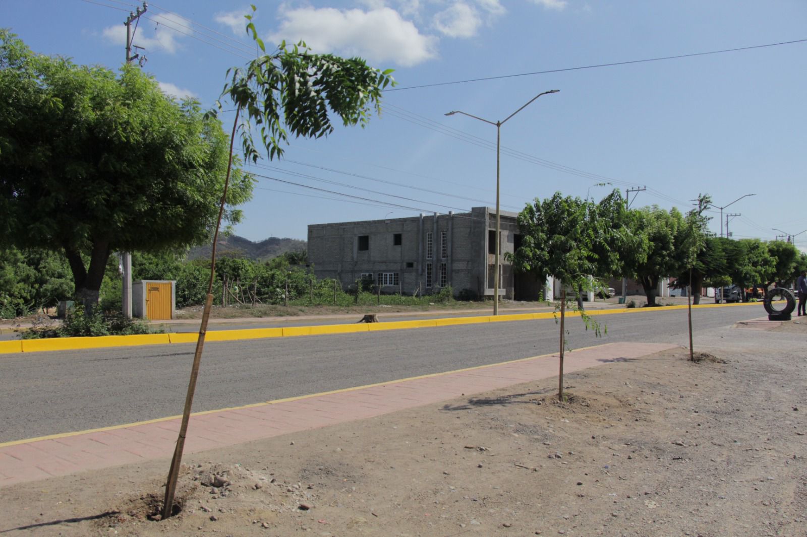 Jornada de arborización en El Rosario, Sin.