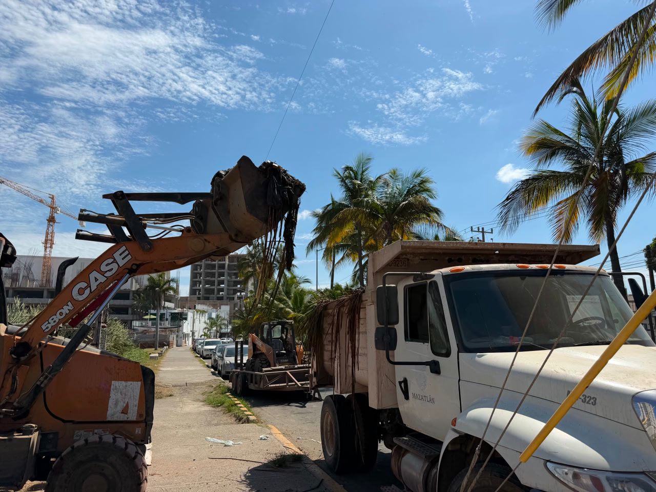 Jornada de limpieza en Tellerías, Mazatlán, Sin.