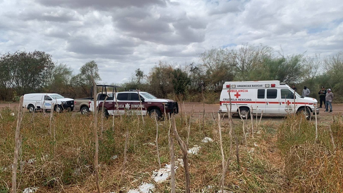 Jornalero fallece de presunto golpe de calor en Valle del Carrizo, Ahome