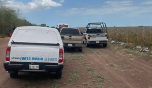 Jornalero fallece de presunto golpe de calor en Valle del Carrizo, Ahome