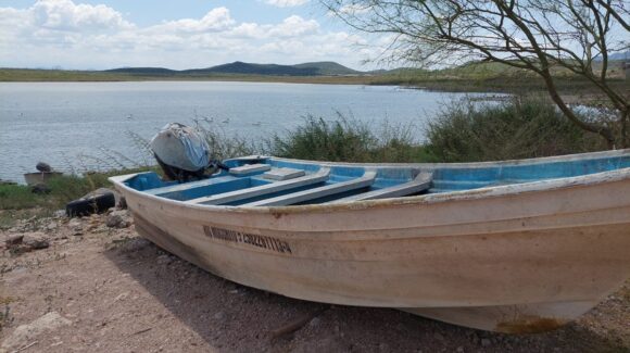 Entra en vigor este 30 de junio la veda en la presa Eustaquio Buelna en Guamúchil, Sinaloa; reforzarán vigilancia para recuperar la pesca