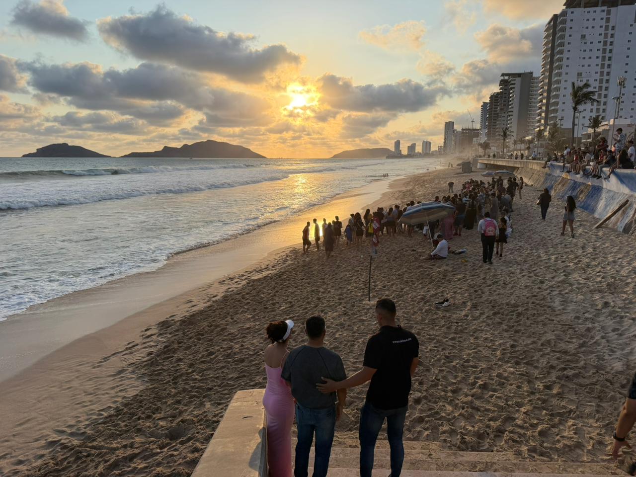 Liberan tortugas marinas negras en Mazatlán