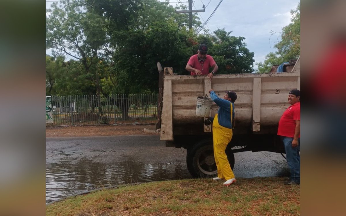 Trabajos de limpieza en bocas de tormenta, rejillas y cauces en Los Mochis