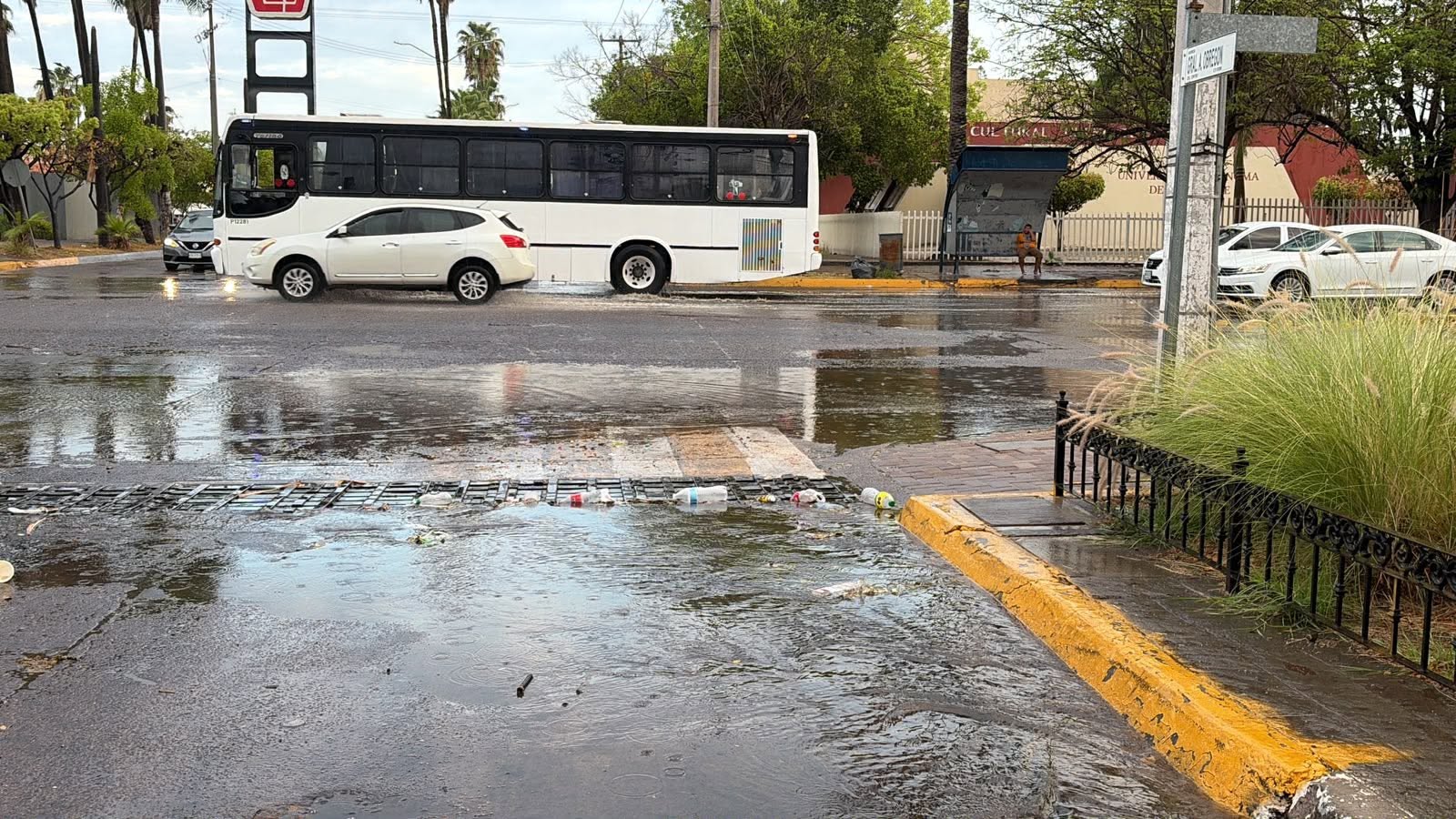 Trabajos de limpieza en bocas de tormenta, rejillas y cauces en Los Mochis