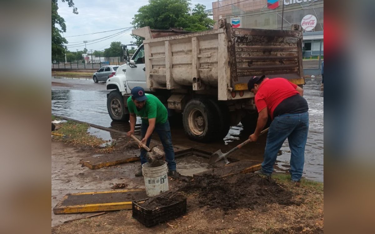 Trabajos de limpieza en bocas de tormenta, rejillas y cauces en Los Mochis