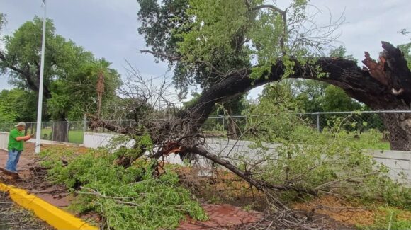 Sin incidentes mayores; Ayuntamiento activa operativo y realiza labores de limpieza tras lluvias en Culiacán