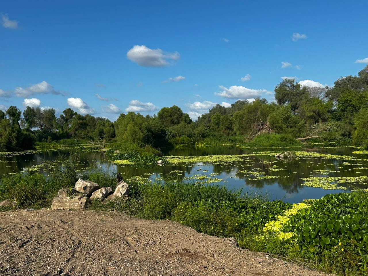 Río Presidio, en Villa Unión, en Mazatlán