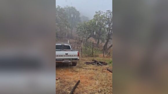 Como un respiro de esperanza, cae la primera lluvia buena de la temporada en la sierra de Cuitaboca, Sinaloa