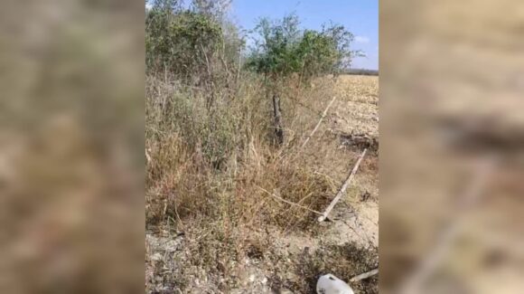 Localizan al menos seis osamentas durante jornada de búsqueda cerca del panteón en La Cruz, Elota, Sinaloa