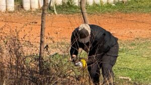 localizan cuerpo esposado y con huellas de violencia en baldio en mazatlan sin
