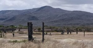 Localizan dos fosas clandestinas en Matadero, Rosario