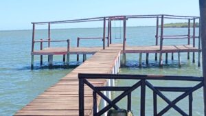 localizan restos humanos flotando en el mar en el castillo navolato sinaloa
