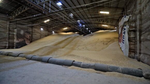 Se beneficiarán 25 mil productores de maíz con prórroga para actualización de datos: Gobernadora