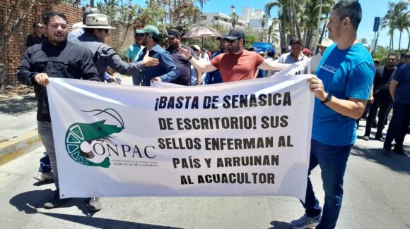 ¡Queremos solución y no la importación! Hartos y decepcionados acuacultores se manifiestan en Mazatlán, Sinaloa, por camarón ilegal de Ecuador