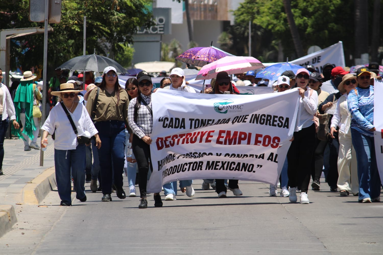 Acuacultores se manifiestan en Mazatlán