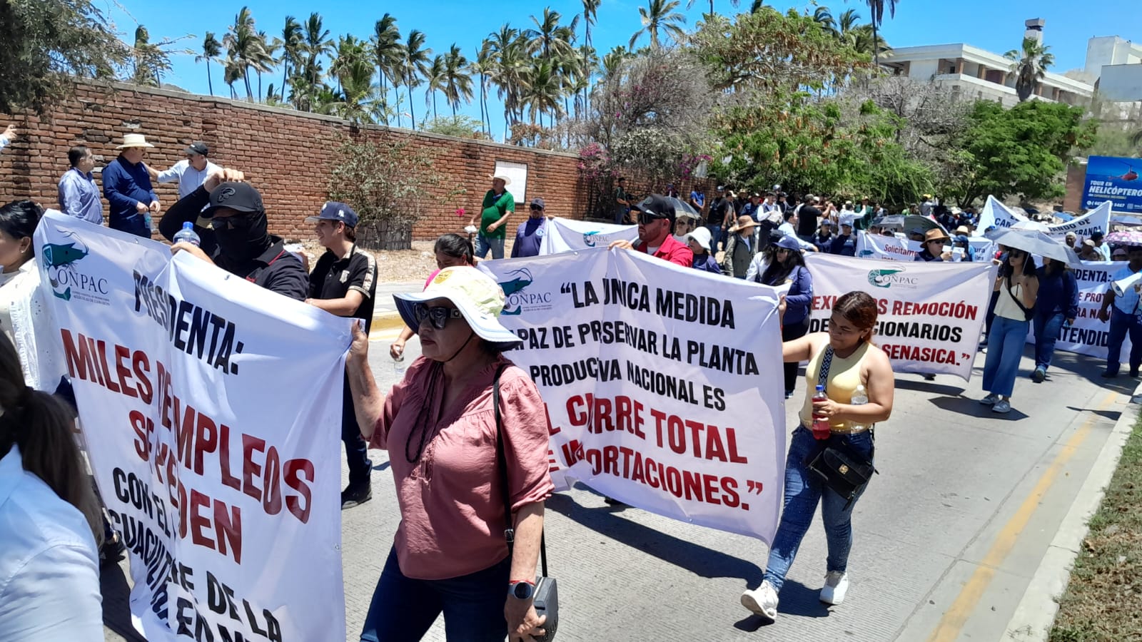 Acuacultores se manifiestan en Mazatlán