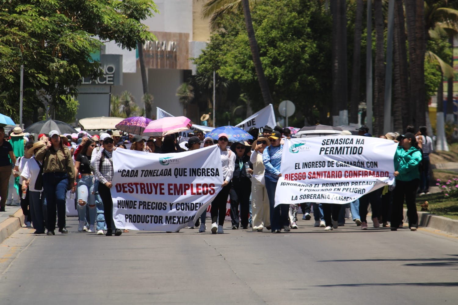 Acuacultores se manifiestan en Mazatlán