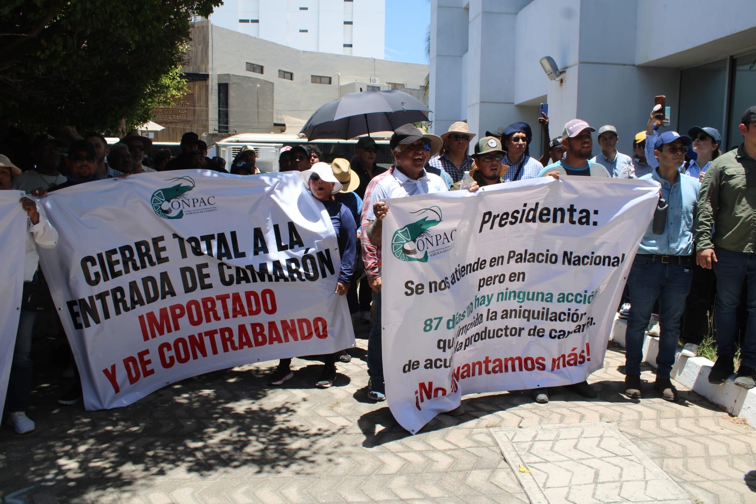 Acuacultores se manifiestan en Mazatlán