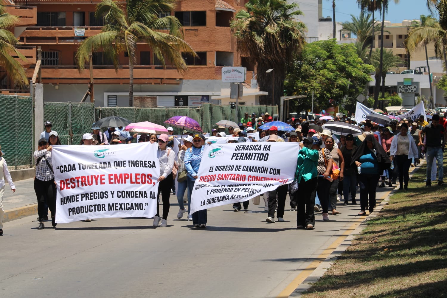 Acuacultores se manifiestan en Mazatlán