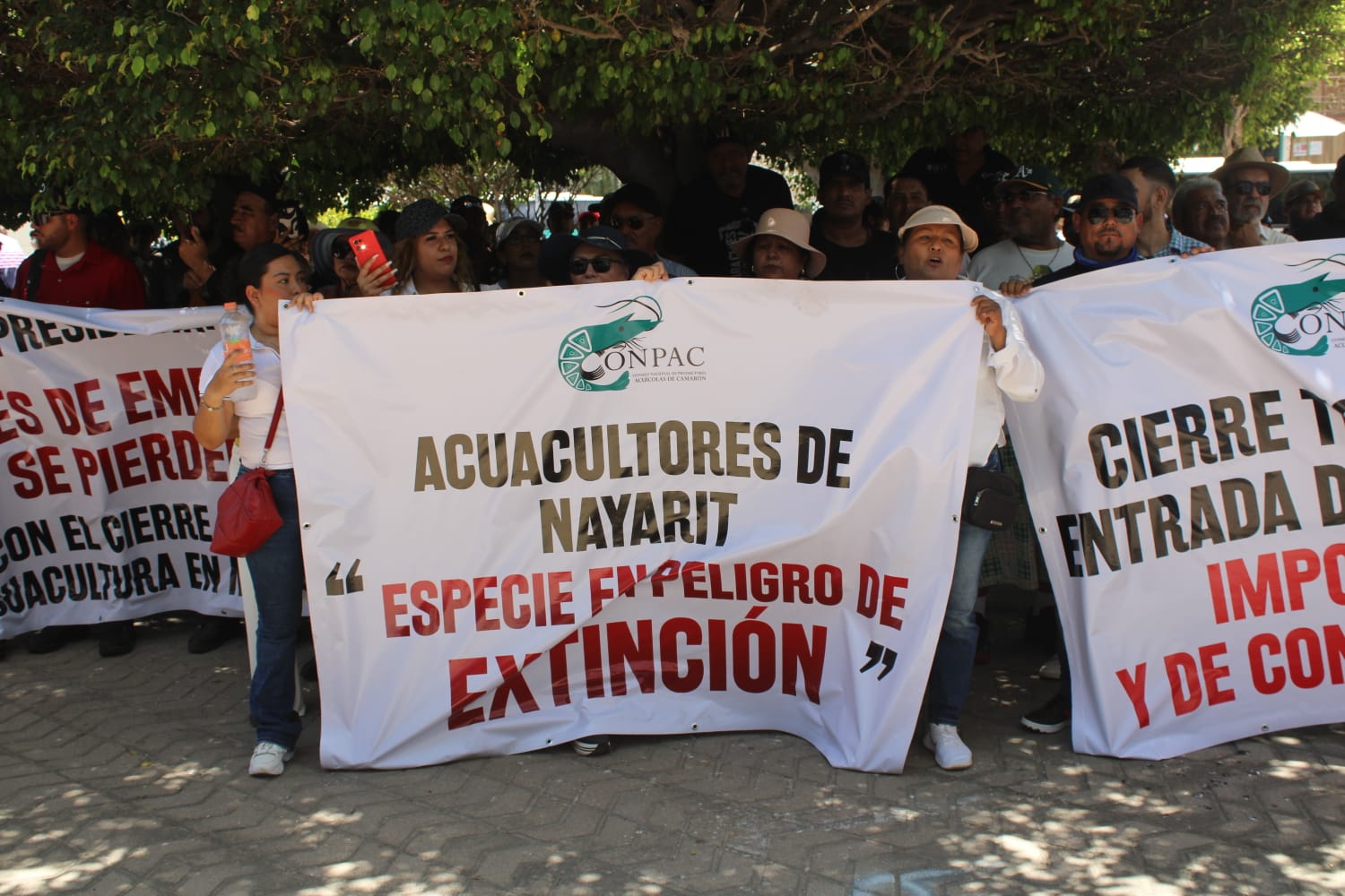 Acuacultores se manifiestan en Mazatlán
