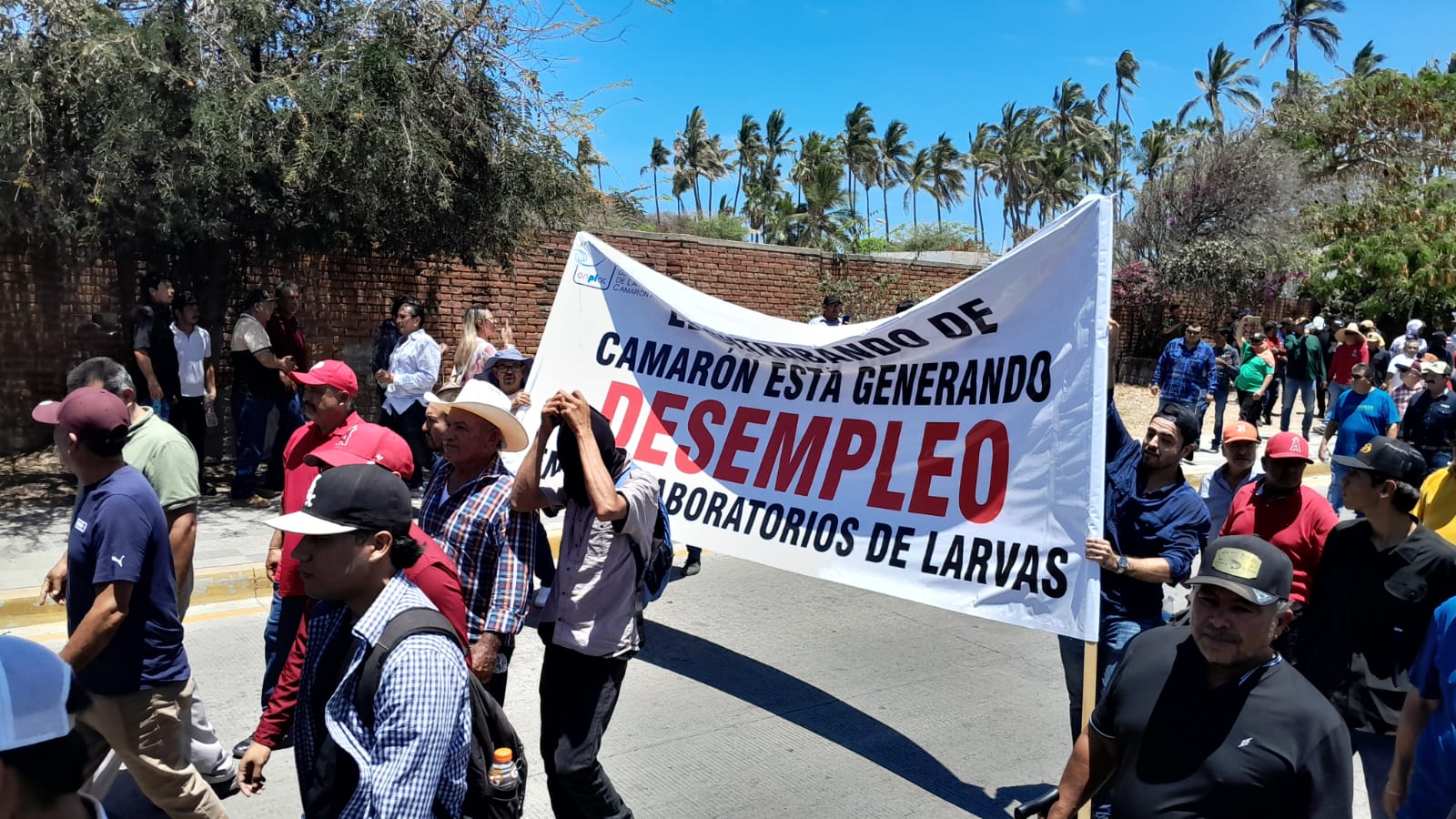 Acuacultores se manifiestan en Mazatlán