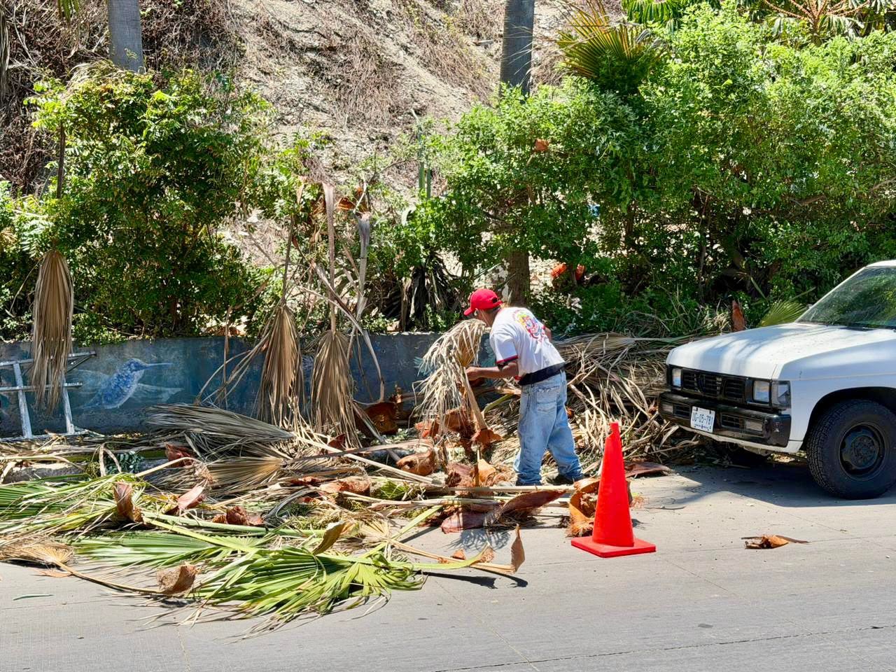 Mantenimiento de espacios públicos en Mazatlán