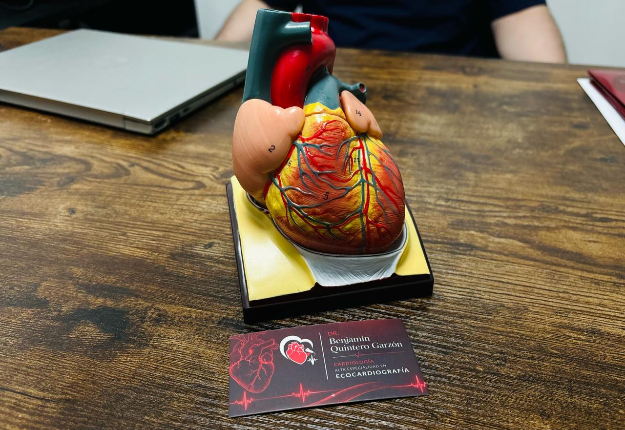 Maqueta de corazón