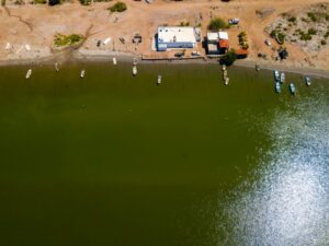 Conapesca cuida que GPO pueda contar con excluidores y cuide la norma ambiental en Topolobampo