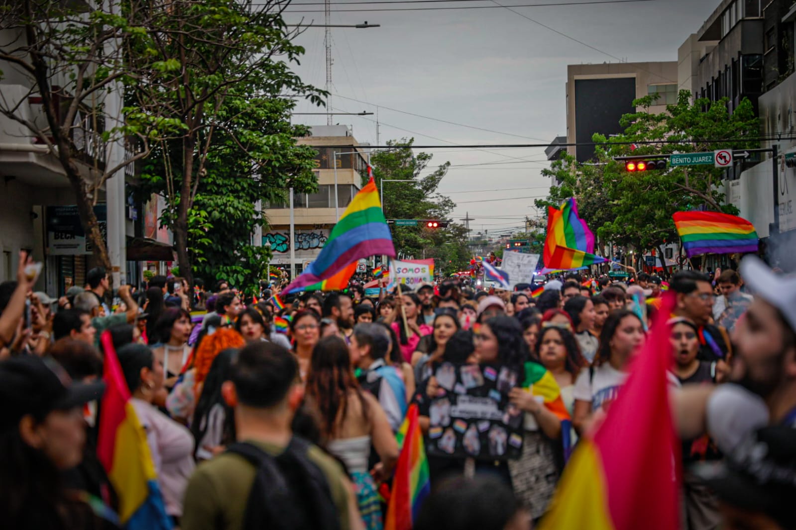 Marcha de la Diversidad Culiacán 2026