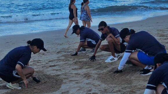 Más de mil manos por el mar, Mazatlán, Sinaloa protagoniza histórica limpieza de playas en defensa de los océanos