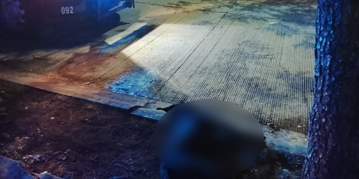 muere perro tras ser lesionado con arma blanca en alturas del sur