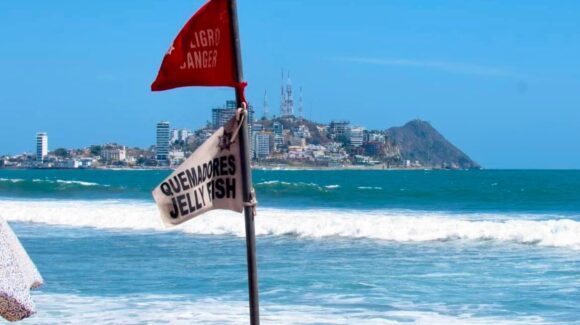 Entre 35 a 39 grados las temperaturas para Mazatlán en esta semana; habrá mar de fondo con gran oleaje: PC