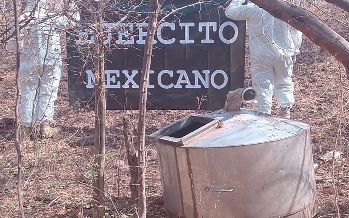 Aseguran laboratorios, armas, cartuchos y materiales químicos en Sinaloa
