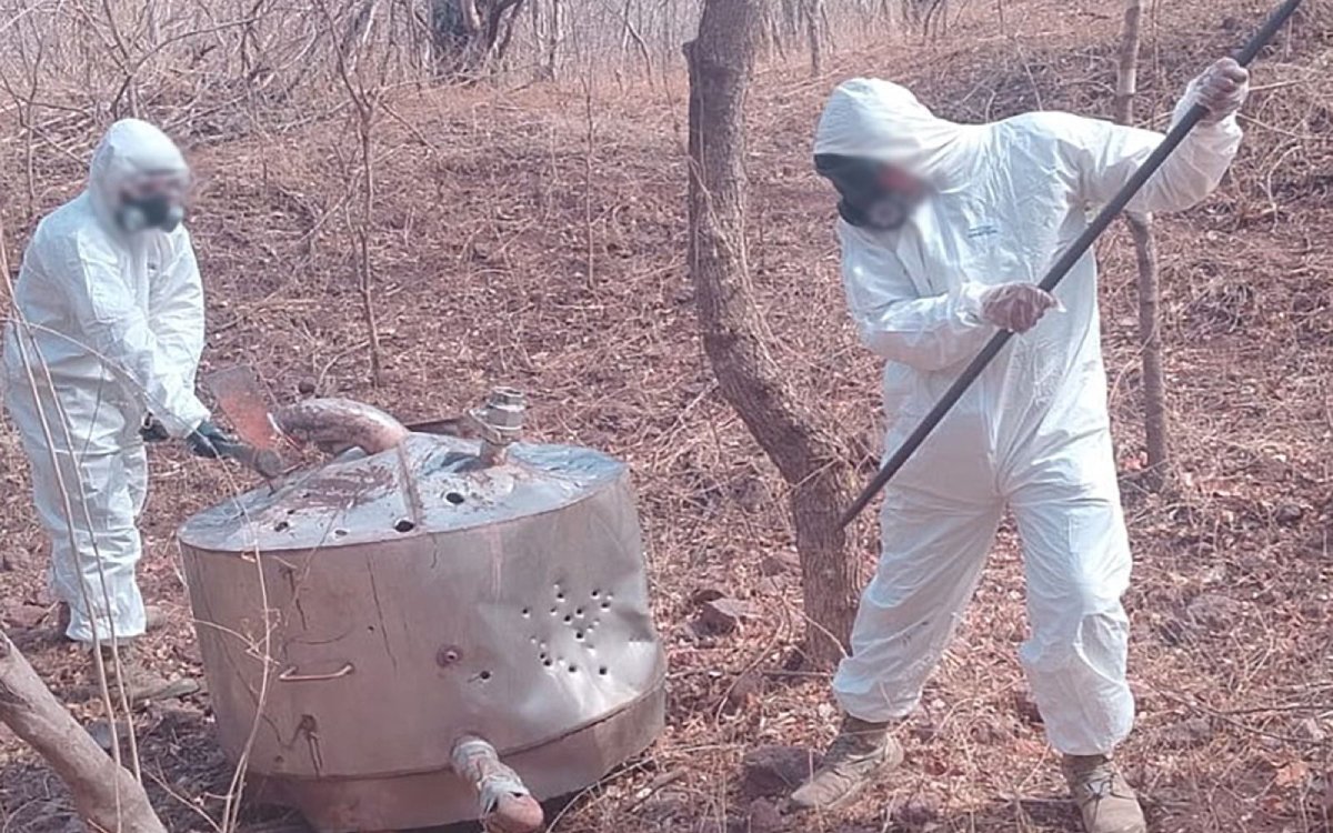 Aseguran laboratorios, armas, cartuchos y materiales químicos en Sinaloa