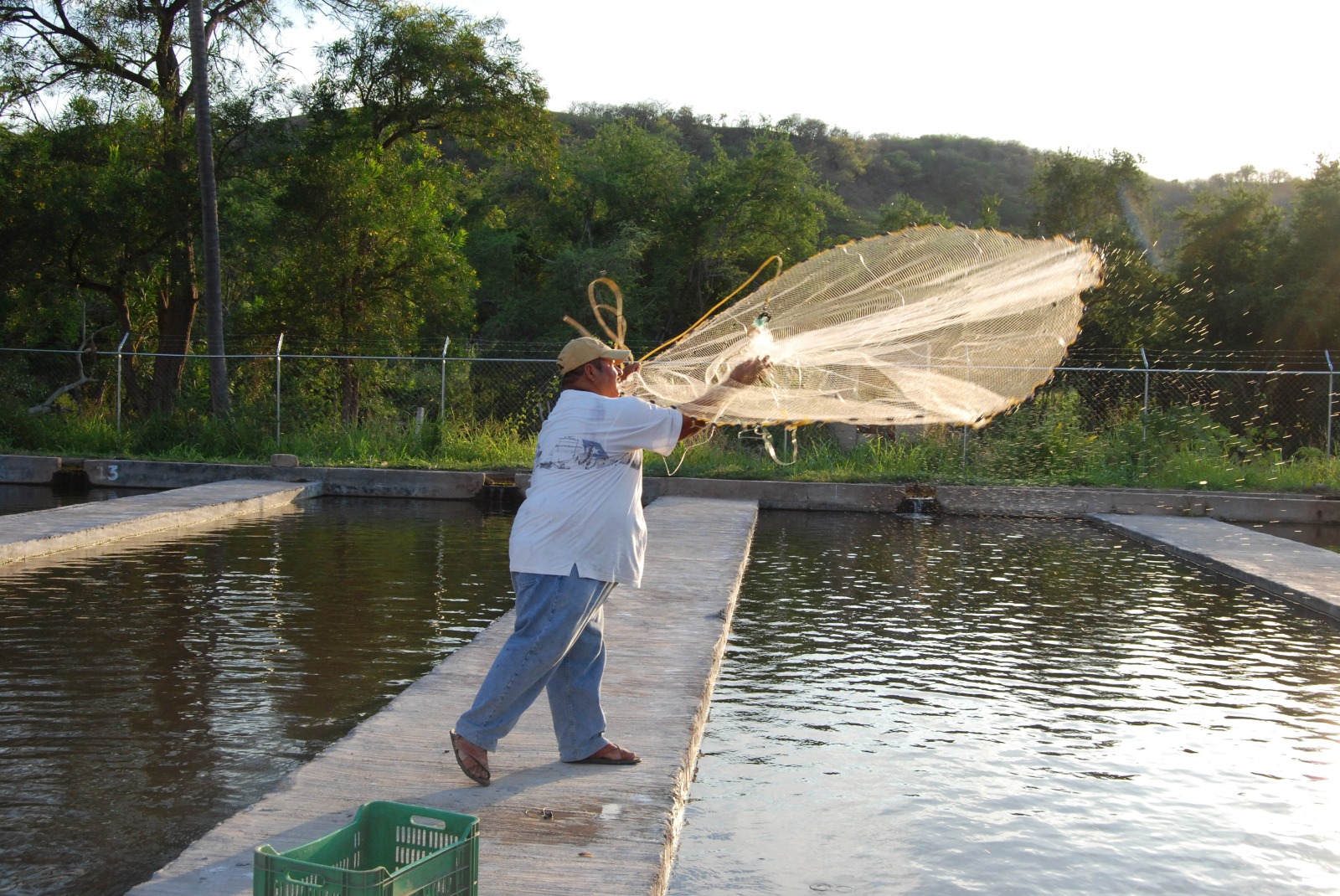 Pesca