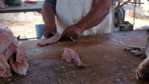 Pescadores del Évora se aferran al último mes de captura para enfrentar deudas antes de la veda