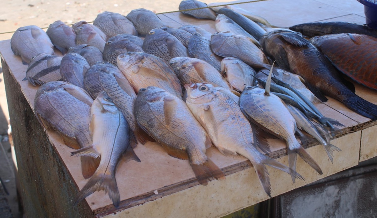 Pescado en venta en Playa Norte, de Mazatlán
