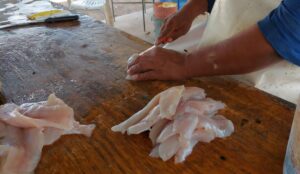 Pescado en venta en la presa Eustaquio Buelna, en Salvador Alvarado