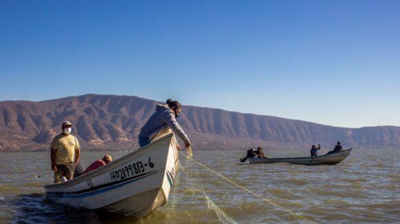 “Morena ha provocado una crisis en el sector pesquero”: PAN Sinaloa; exigen regreso del programa de empleo temporal