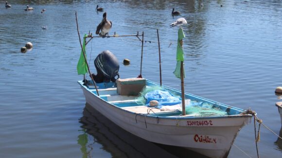 Pescadores indígenas se pronuncian a favor de la planta de GPO en Topolobampo