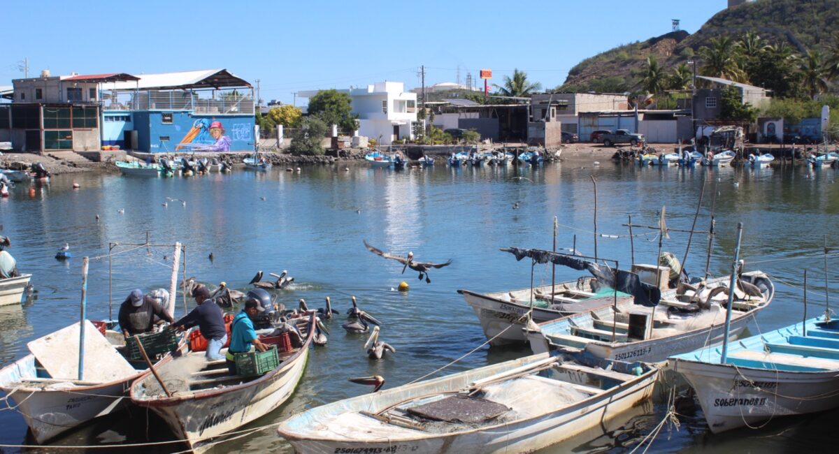 Vuelven embarcaciones a tierra en Topolobampo; mar de fondo no da tregua para continuar en labores de pesca